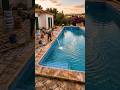 INCREDIBLE Abandoned Pool Transformation 🤯 (Before & After)