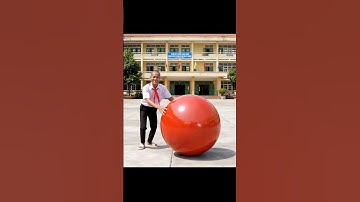 Tập 146: Hùng Trọc lăn bi đặt giữa sân troll Capybara và cái kết #capybara #haihuoc #funny #capy