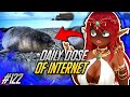 THAT'S A CHONKY BOY!! | Daily Dose of Internet Reaction