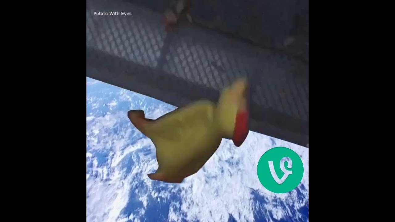 Falling Chicken | Vine | Potato With Eyes