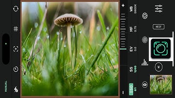 SANDMARC 100MM Macro Lens (Tested Extensively)