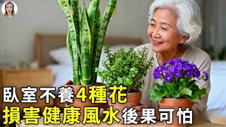 臥室不養這4種花，特別是第2種，不是迷信後果嚴重！|花花世界