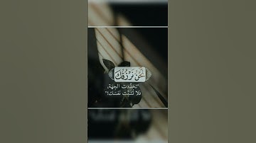 كلمات يشرح القلب سور من القران الكريم