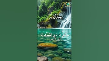 "وقالوا اتخذ الله ولدًا... سبحانه! " القارئ رعد الكردى