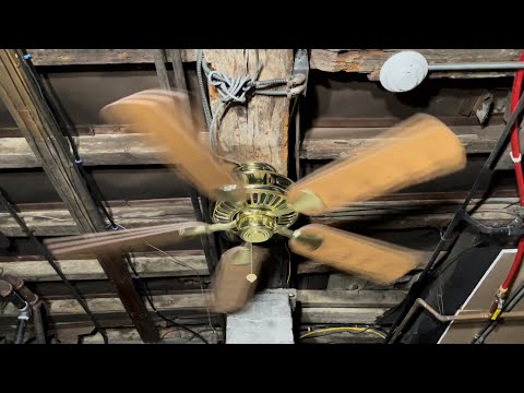 Hampton Bay Cameron II Ceiling Fan 52” (Polished Brass/Oak)(No Commentary)  @Emanfan96