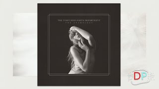 Taylor Swift  Robin visualizer