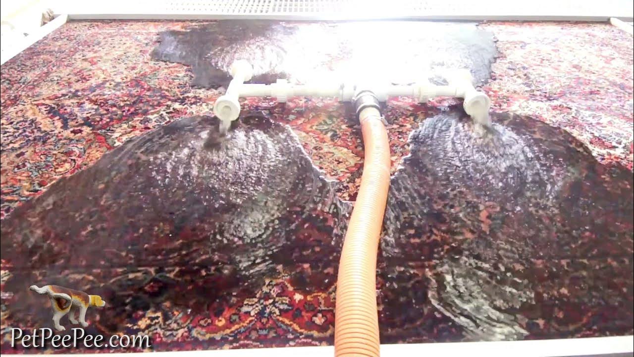 KARASTAN CARPET CLEANING REVIEW YouTube