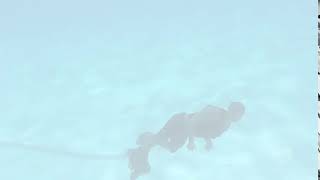 COMM 244 - AE ASSIGNMENT #1 (Water)