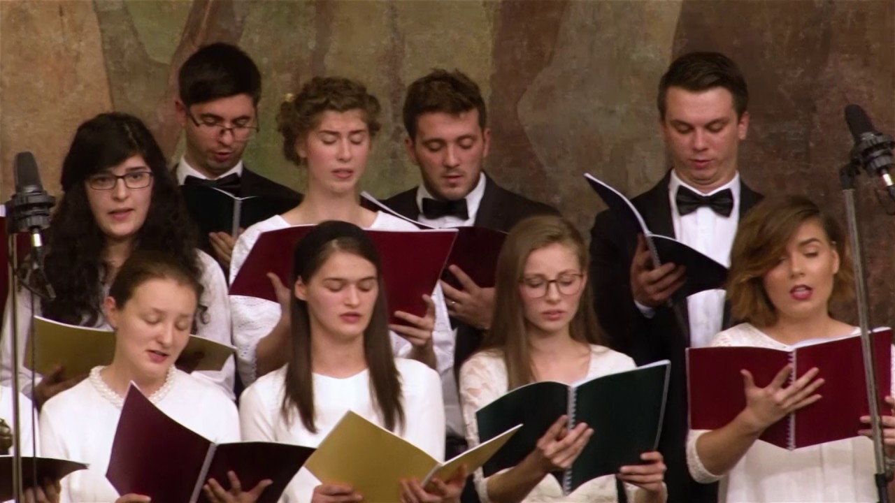 Consonantis - Tu esti odihna mea