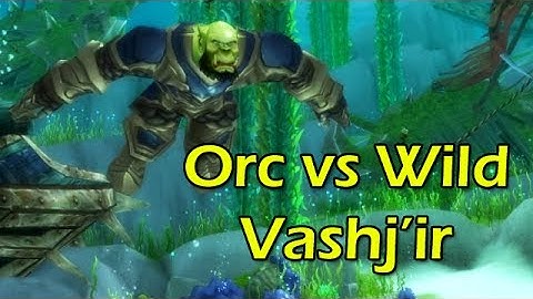 Orc vs Wild Vashj