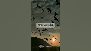 Thumbnail of Alhamdulillah For Everything, islamic WhatsApp status, Subhanallah Alhamdulillah  #shorts #islam