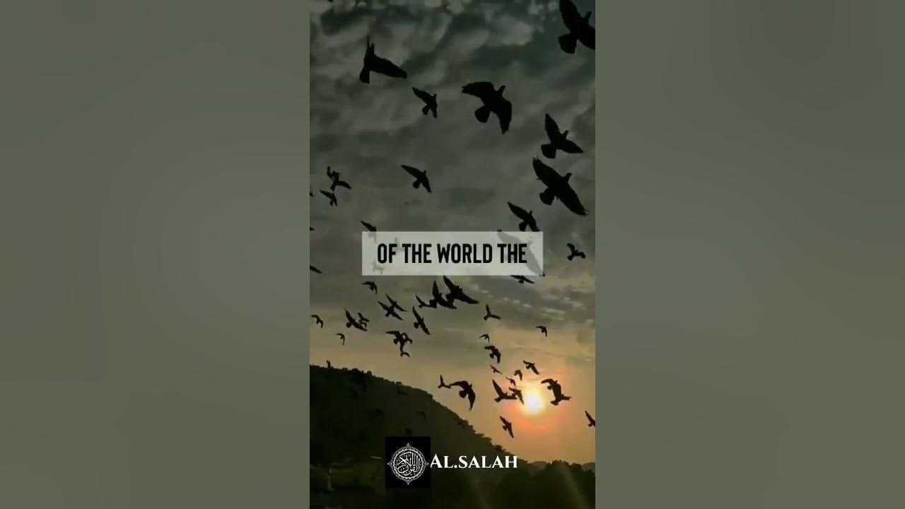 Alhamdulillah For Everything, islamic WhatsApp status, Subhanallah Alhamdulillah  #shorts #islam