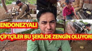 ENDONEZYALI YATIRIMCI ÇİFTÇİLER BU ŞEKİLDE ZENGİN OLUYOR!#endonezya