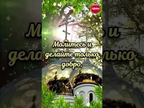 Рожде́ственский пост (Филиппов пост)