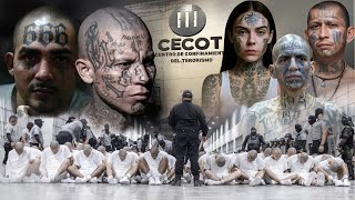 Download Lagu De best beveiligde gevangenis ter wereld: CECOT (waar meedogenloze bendes worden opgesloten)Video 4K MP3 Download Lagu De best beveiligde gevangenis ter wereld: CECOT (waar meedogenloze bendes worden opgesloten)Video 4K MP3