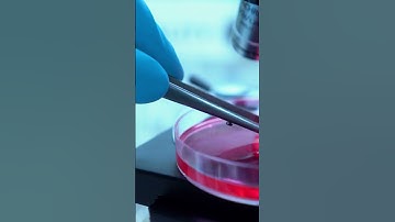 Metastasis: When Cancer Spreads