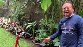 Beli sepeda lipat  brompton murah?