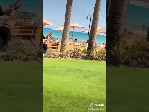 اغنية عصفوره يا جمالو عليك سنيوره جهاد