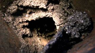 Why you need to CLEAN YOUR CHIMNEY! by Corey Binford 335,980 views 12 years ago 2 minutes, 22 seconds