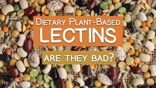 Dietary Plant-Based Lectins Explained | Are They Bad?