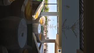 Jaw-Dropping Luxury Terrace Garden Ideas From Architectural Genius #architecturaldesign #home