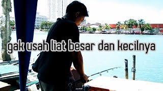 STORY WA BIJAK MANCING//story WA 30detik