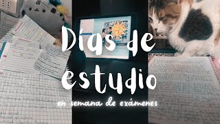 Sobreviviendo a días de estudio en épocas de exámenes