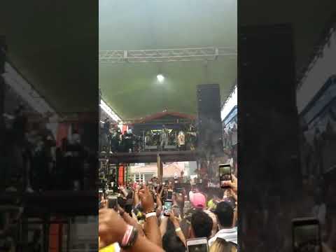 Don Miguelo en vivo – Carnaval Vegano