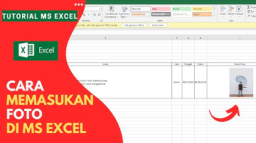 Cara Memasukkan Foto Di Microsoft Excel