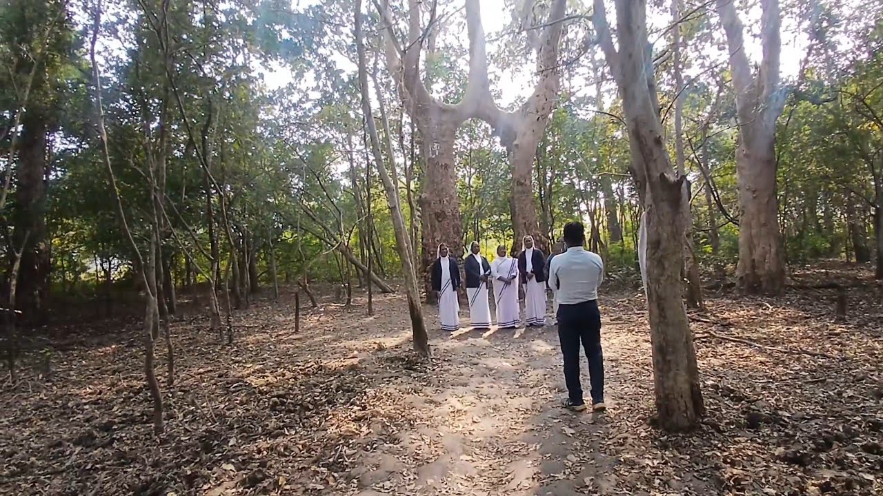 रहस्यमय जगह (दो पेडों का मिलन)