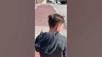 Crossing the Street Video Modeling 1