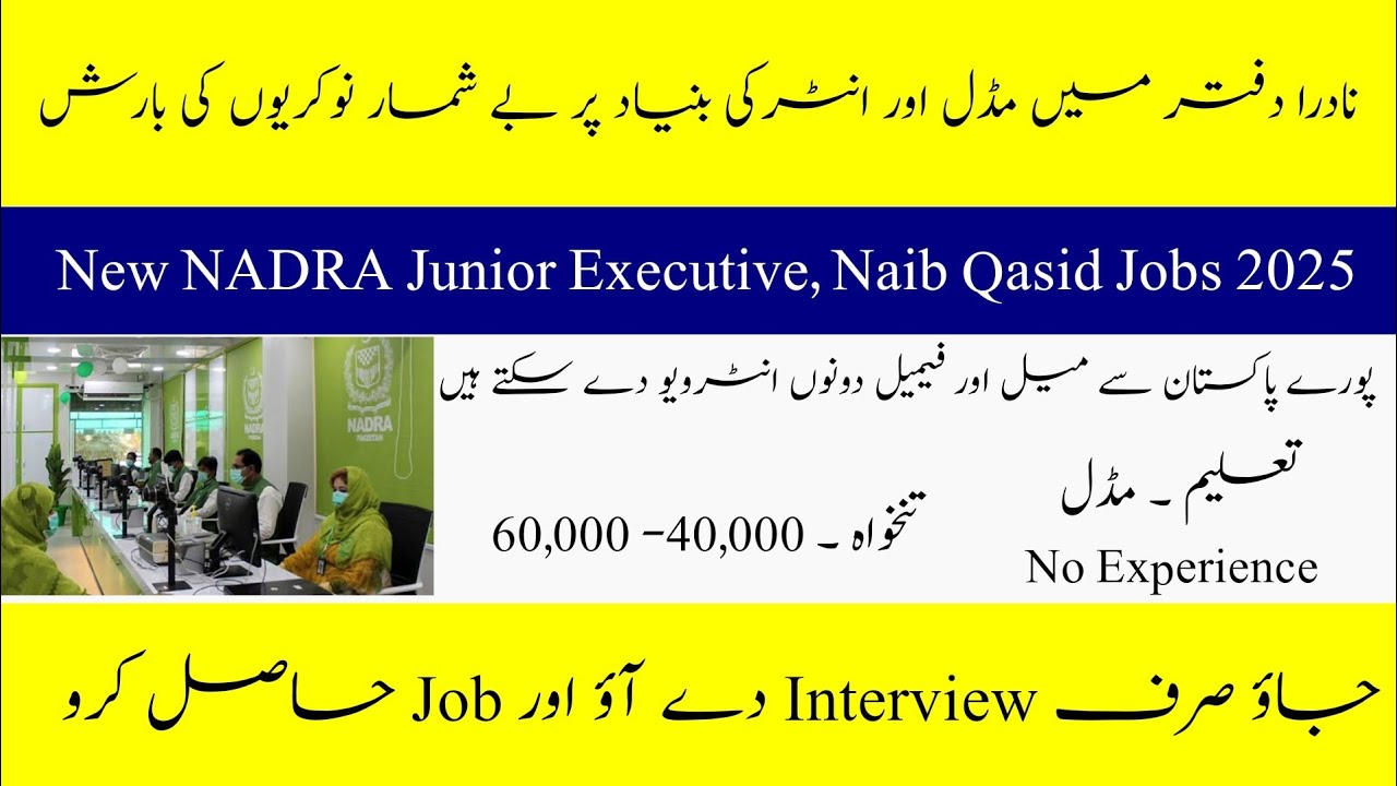 nadra-junior-executive-naib-qasid-jobs-2025-new-govt-career
