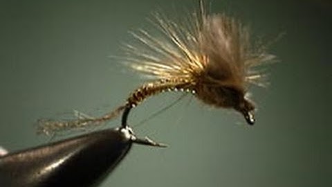 CDC Parachute Emerger fly tying instructions by Shane Stalcup