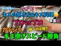 【キスの捌き方】【キス料理】【実食】キス捌きスピード勝負❣️👍