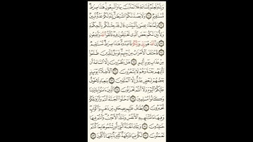 سورة الزخرف الصحيفة رقم 494 بصوت المقرئ فضيلة الشيخ د.أحمد عبد الرحمن الخجا الدمشقي الشافعي 🌸