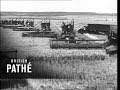 Wheat harvest usa 1947