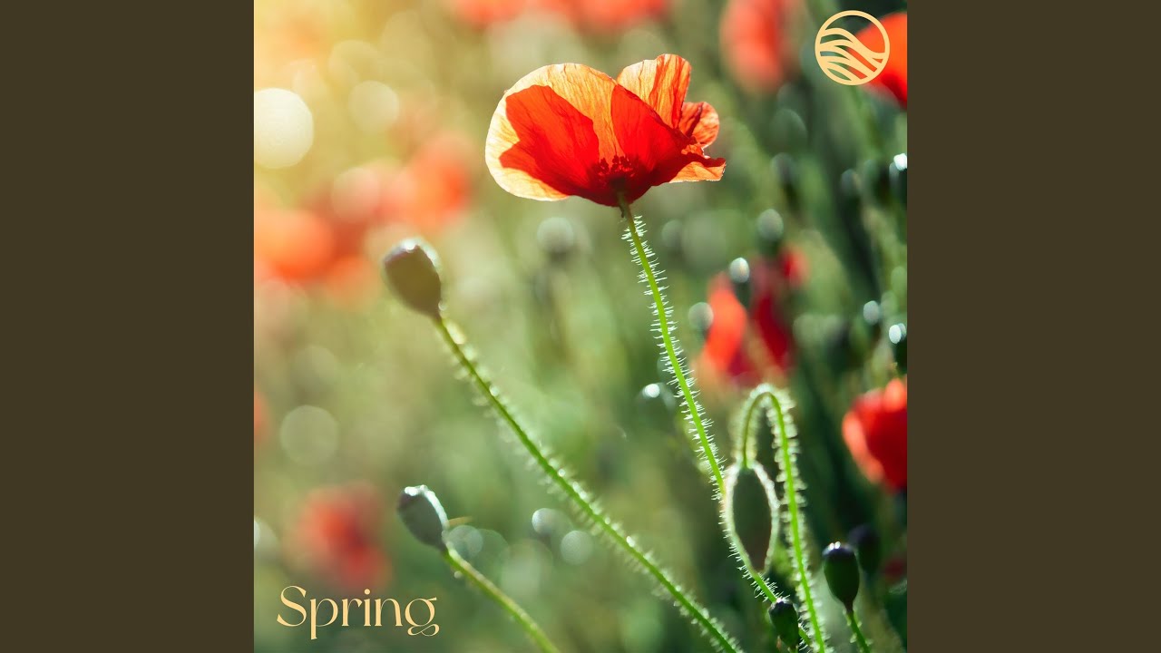 Watch Spring (River) on YouTube Watch Spring (River) on YouTube