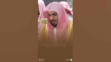 تلاوة من #سورة_فصلت #الشيخ_الوليد_الشمسان #المدينة_المنورة #مكة_المكرمة #اكسبلور #المصحف #ترند