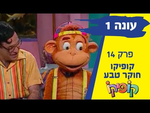 קופיקו עונה 1 פרק 14 - קופיקו חוקר טבע