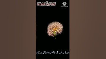 لكل داء دواء ودواء الروح تلاوة القران بكل خشوع /سورة البقرة /