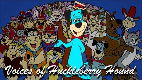 What was huckelberriy Hound&#39;s sidekicks name?