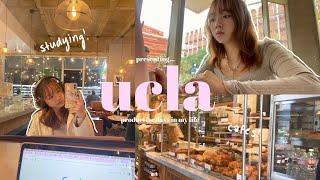 ucla vlog | busy days with midterms, coffee shops, galentines, & more 💗