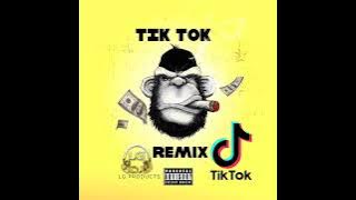 Tik Tok Funk Remix - LG DJ