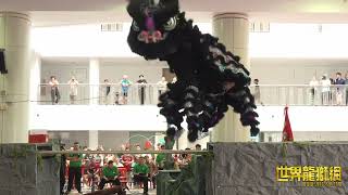 狮城劲勇龙狮院 Shi Cheng Jin Yong Dragon And Lion Dance Centre