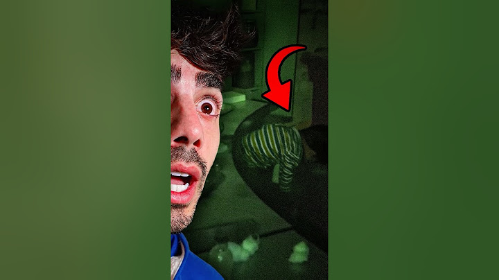 QUICO APARECIÓ EN EL HOSPITAL DE ALFA 😨😨 * ¡Fede Vigevani muestra las imágenes!