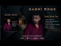 SABRİ ÖRGE -ALBÜM TEASER 2023