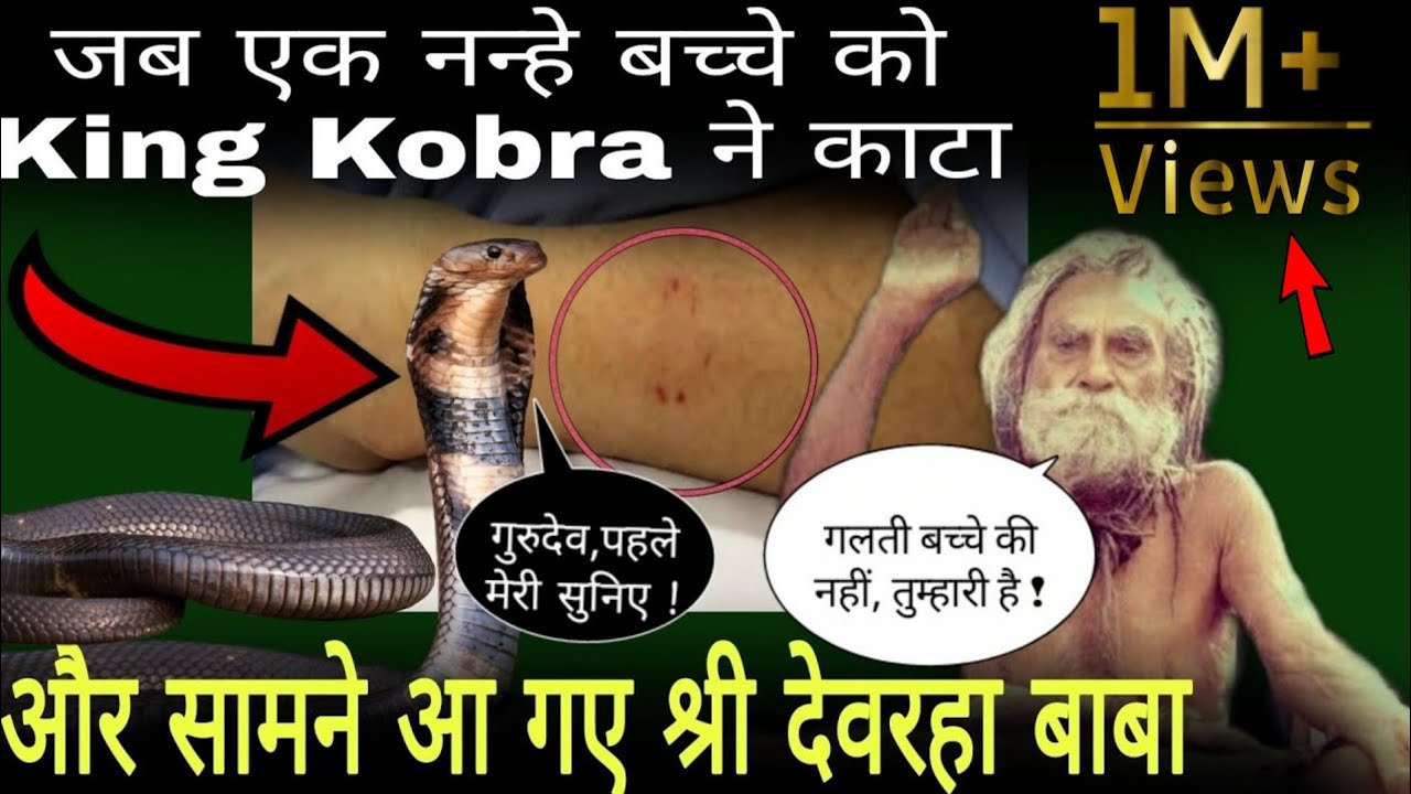 king Kobra के काटने से, मासूम बच्चे पर आया मौत का संकट, लेकिन बीच मैं आ गए-श्रीदेवरहा बाबा और फिर...