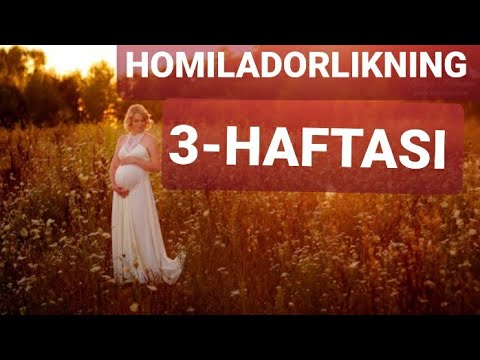 Video: Homiladorlikning 3-haftasi: Hislar, Homila Rivojlanishi