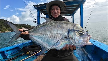 Lụm cá bè đầu mùa, nghề câu cá kiếm tiền triệu của ngư dân xứ đảo