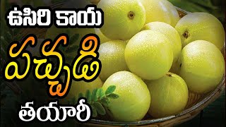 How To Prepare GooseBerry Pickel Without Lemonjuice And Tamarind|ఉసిరి కాయ నిల్వ పచ్చడి